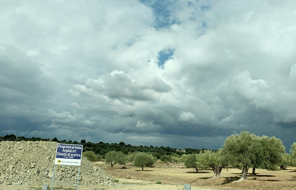 Green Clay ground with olive trees on a cloudy day